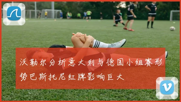沃勒尔分析意大利与德国小组赛形势巴斯托尼红牌影响巨大