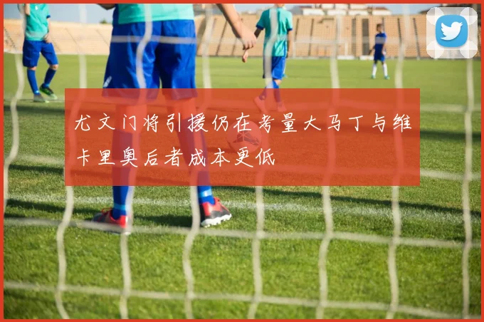 尤文门将引援仍在考量大马丁与维卡里奥后者成本更低